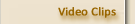 Video Clips