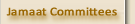 Jamaat Committees